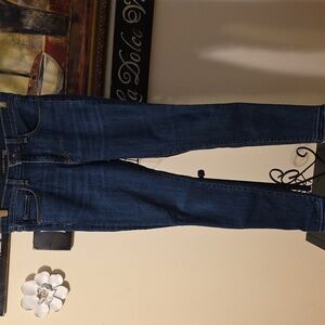 Veronica Beard Dark Indigo Women's Jeans Vintage W Fray Size 10 Skinny